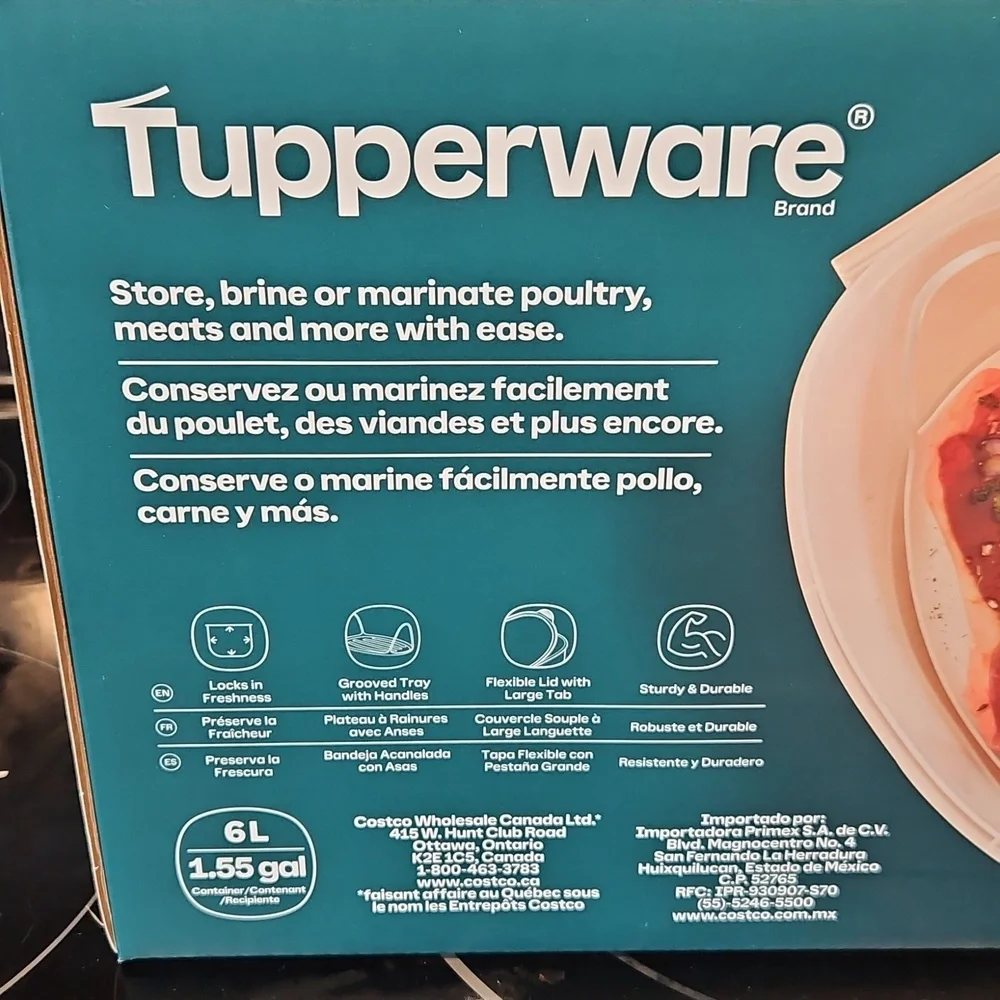 Tupperware XL Food Storage Container,NIB